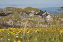 Shetland croft