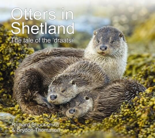 Shetland otters, Otter photography, Otters in Shetland, Shetland Isles, Otters otter, Lutra lutra, otter book, Shetland otter photography, Shetland otter